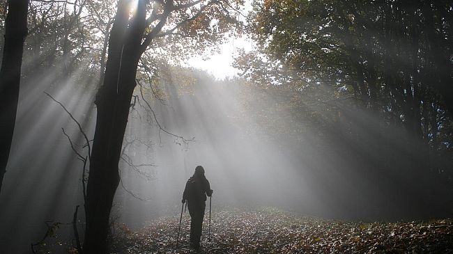 Le Feste d'Autunno nel prossimo fine settimana