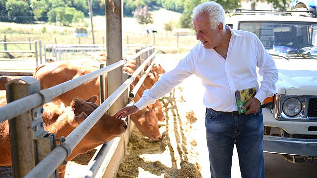 Elezioni regionali: Giani propone un tavolo programmatico