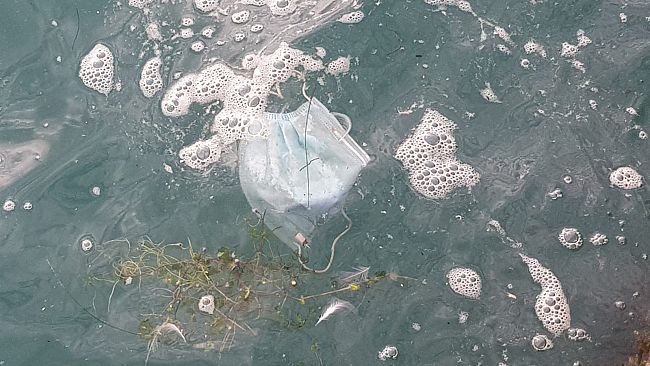 Guanti e mascherine, campagna Coop-Legambiente contro l'abbandono