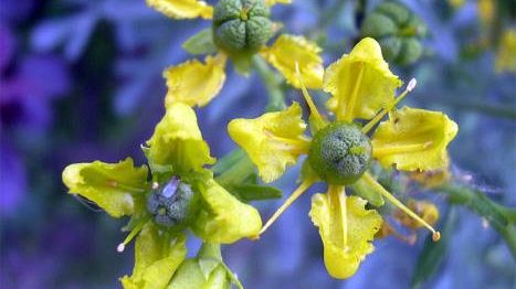 Firmata intesa fra Provincia ed Università di Firenze