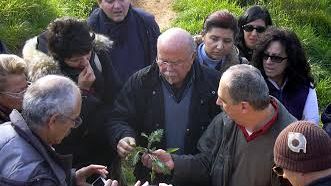 Erbe spontanee: in Toscana la prima fiera in Italia