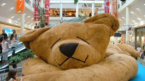 Arrivato ai Gigli l'orso in peluche più grande al mondo