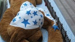 L'orso più grande del mondo ai Gigli di Campi Bisenzio