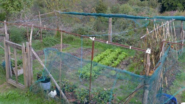 Aree pubbliche per coltivare l’orto di casa? A Chiusi si può fare