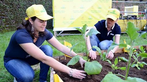 Orti urbani, la Toscana invita i giovani a zappare la terra