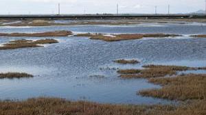 Il Padule Orti-Bottagone vince il premio 2011 di EBN Italia