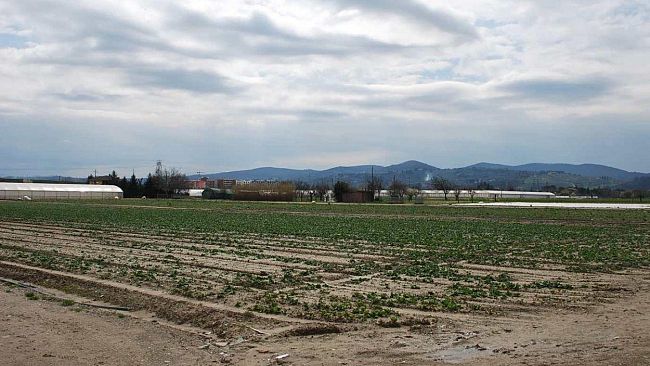 Orti per i giovani in riva sinistra d'Arno: il lavoro di ieri è quello di domani