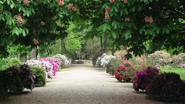 San Giovanni, il Fiorino, il Giglio: simboli fiorentini, cosa li accomuna?