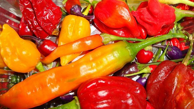 Peperoncino a go-go per gli amanti dei sapori forti