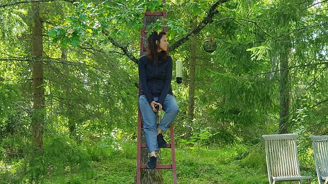 Palazzo Vecchio: Caterina Arciprete capogruppo Avs – Ecolò