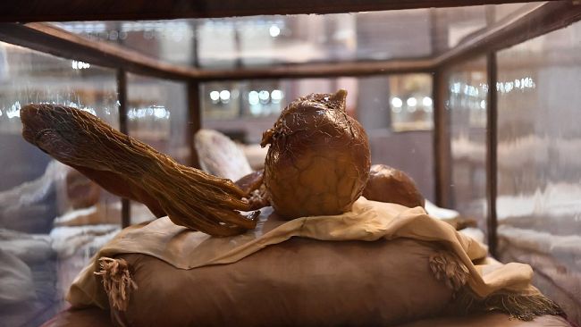 Specola gratis dal 22 al 25 febbraio ma è già tutto esaurito