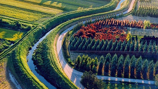 ok-i-ristori-ai-floricoltori-ma-il-vivaismo-pistoiese-necessita-di-liquidita