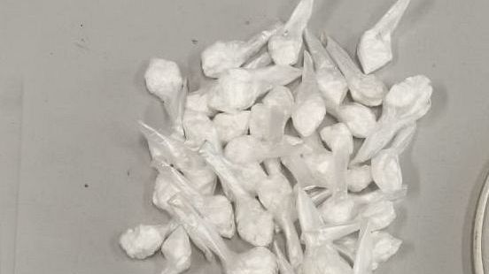 Prato, il cane antidroga Tesla trova 90 grammi di hashish