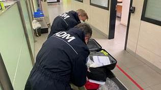 Controlli all'aeroporto di Firenze: il bilancio 2022