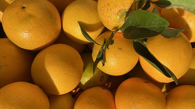 Solidarietà: arrivano i simboli del Natale offerti e regalati