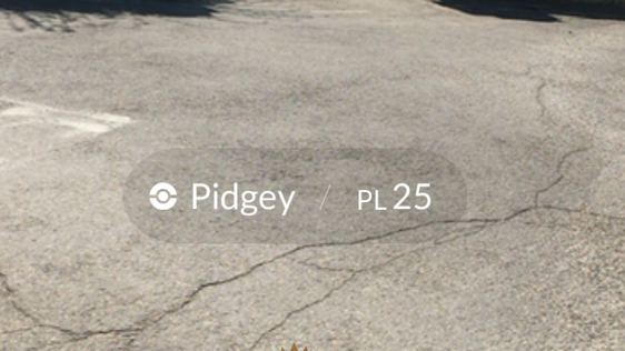 Fenomeno Pokémon GO:  il primo raduno fiorentino è alla Fattoria di Maiano