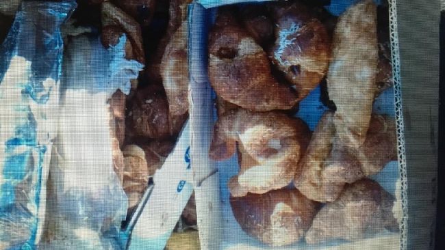 Rifiuti fuori dal cassonetto: multato per cornetti e panini abbandonati