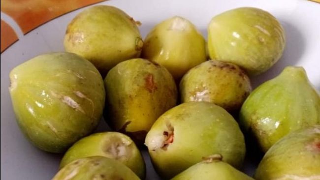 L'importanza di mangiare fichi freschi