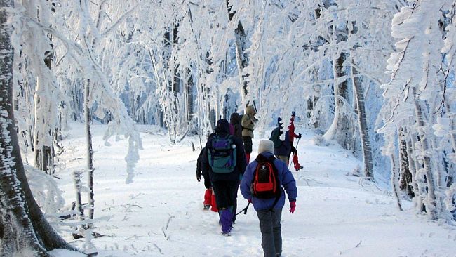 Tante iniziative per vivere la neve nel fine settimana