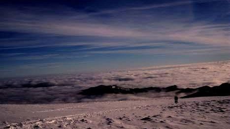 Idee per il weekend: giganti o ciaspole al Parco Foreste Casentinesi
