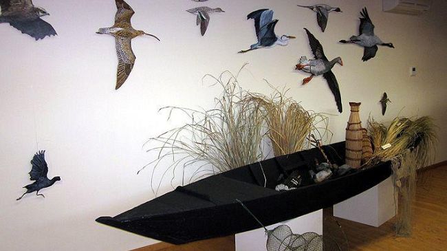 Padule di Fucecchio: apertura straordinaria del Centro Visite