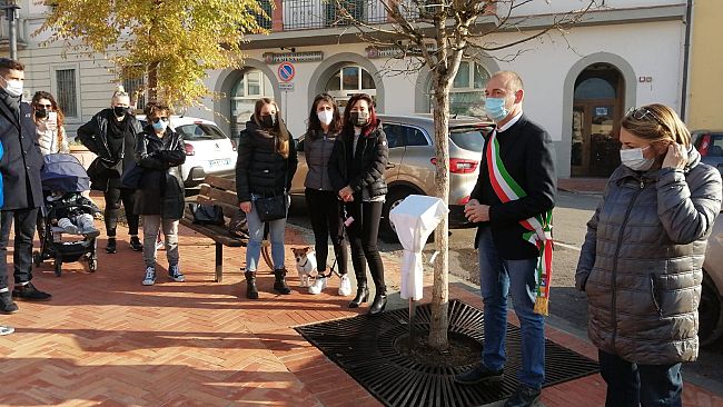 Abbraccia un albero, dai vita a un bosco