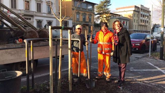 Alberi e Verde pubblico a Firenze: ecco i dati di Palazzo Vecchio