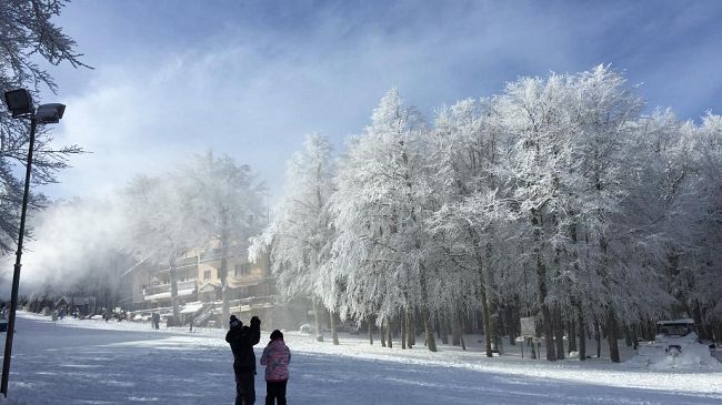 Piste coperte da neve di ottima qualità