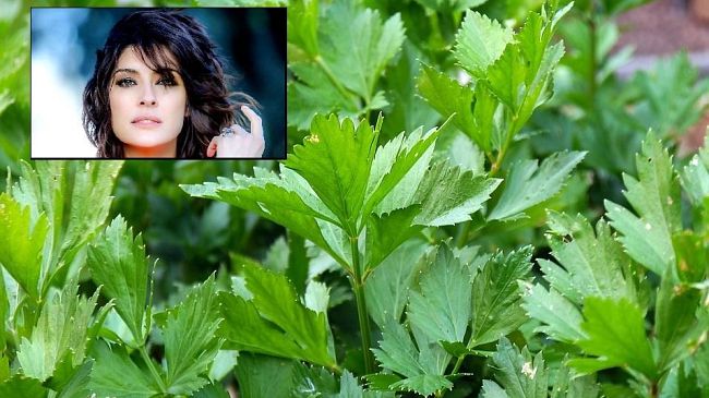 Buono a Sapersi in Toscana: tutti i segreti del prezzemolo, con Elisa Isoardi