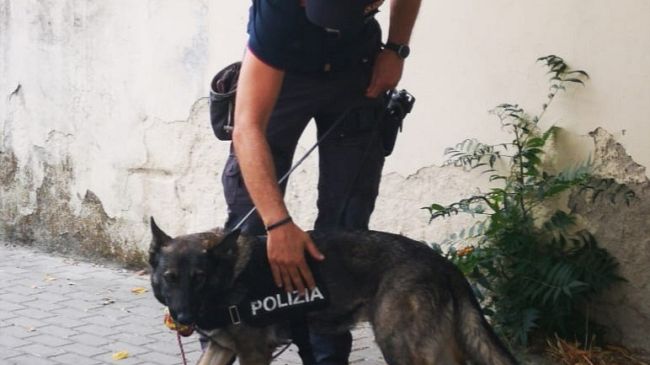 Marijuana nascosta in cucina: pusher arrestato a S. Jacopino