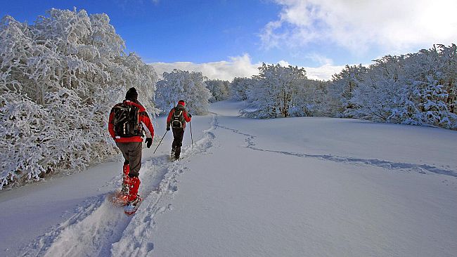 San Valentino arriva in Toscana