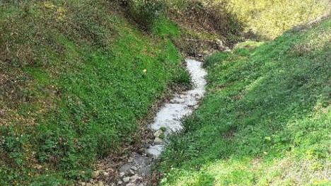 Sversamento di liquido lattiginoso nel fosso Ponticello a Caldine