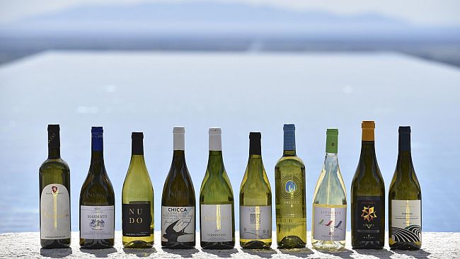 Prosegue il progetto di valorizzazione del Vermentino della Maremma