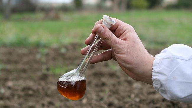 Le virtù del distillato di legno per aumentare la fertilità del terreno