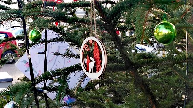 Albero di Comunità al Galluzzo, le foto dei primi addobbi