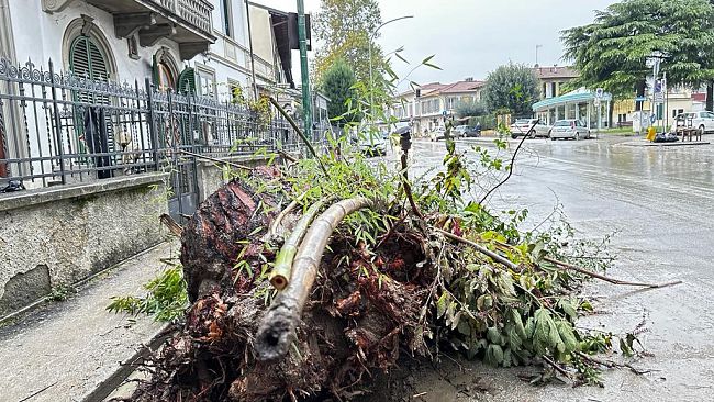 Alluvione, Giani: '8 morti e colpito il cuore economico della Toscana'