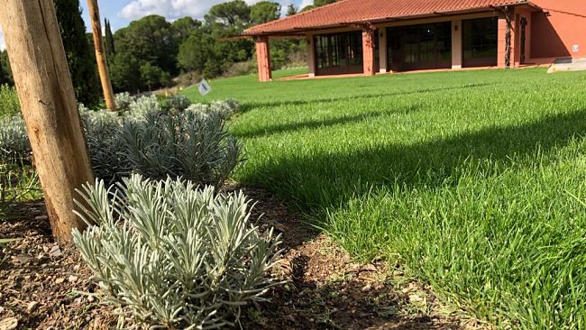 Ambrogio e Giovanni Folonari Tenute: continuano gli investimenti