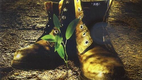 Vitivinicolo: nel sistema di reclutamento della manodopera anche organizzazioni illegali