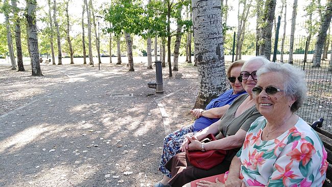 Galluzzo in ansia per il futuro della pioppeta di San Felice a Ema