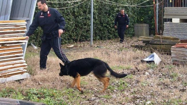 Spaccia eroina ricavandone 2500 Euro al giorno, preso dai Carabinieri
