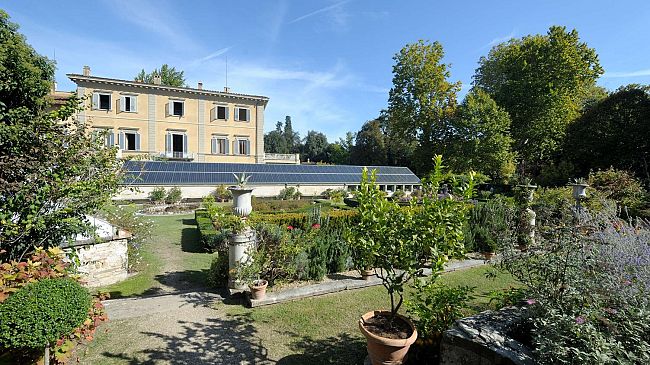 In produzione il Nuovo Olio Extravergine del Consorzio IGP Toscano