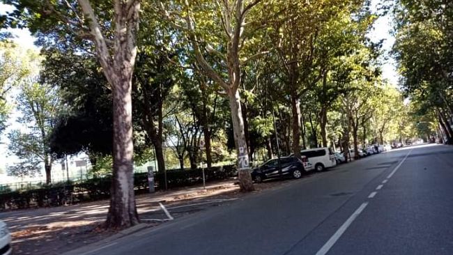 Restyling Franchi, 350 cittadini incontrano i progettisti