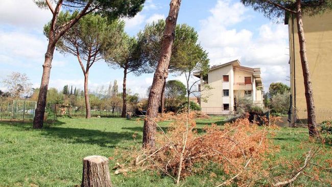 Maltempo: riaprono domani i giardini di via F. da Montefeltro