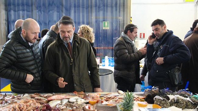 Lavorazione e distribuzione del pesce, un nuovo centro a Livorno