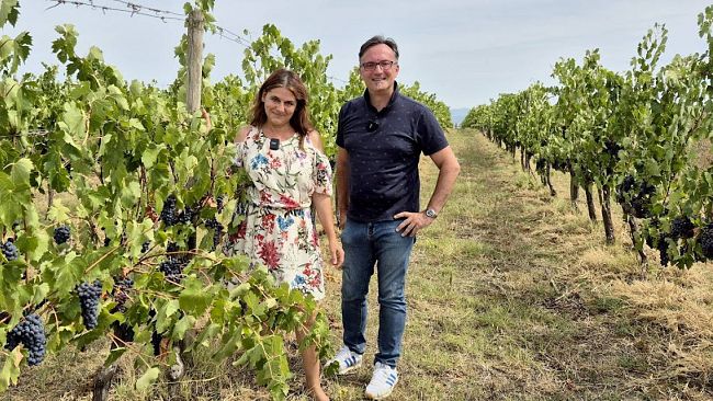 A Tavola con il Produttore: Cortona e il suo Syrah