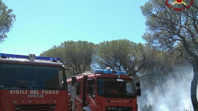 Incendi in Toscana, stato di emergenza regionale
