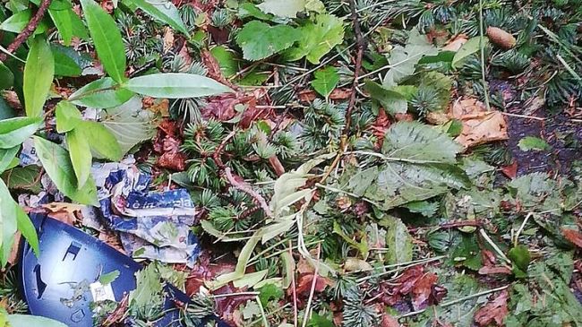 Maltempo: 12 feriti colpiti dalla grandine in provincia di Firenze