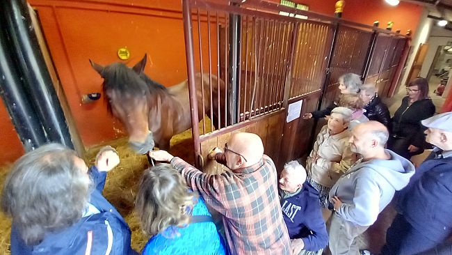 Nonni in visita alle scuderie della Polizia Municipale