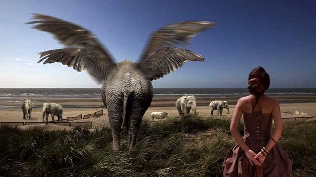 Seravezza Fotografia 2013: protagonista Bart Herreman