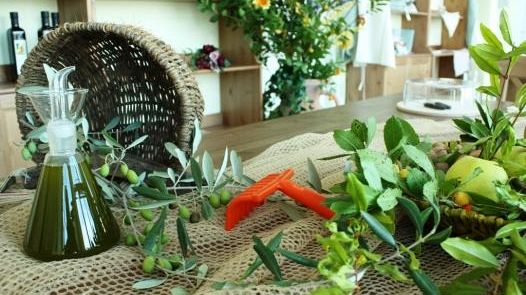 Per l'extravergine Toscano IGP una brochure che ne esalta le qualità